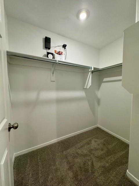 Building Photo - 2440 N Raven Ln