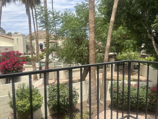 Building Photo - Point South Mountain; Located in the highly desirable Point South Mountain Community, resort styl...