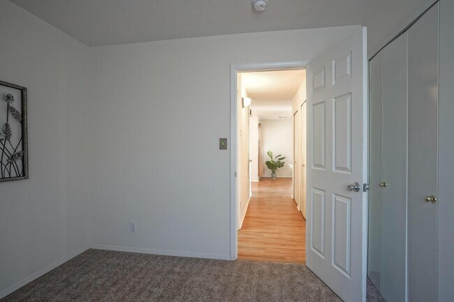 Building Photo - 3146 Chama Meadows Dr NE