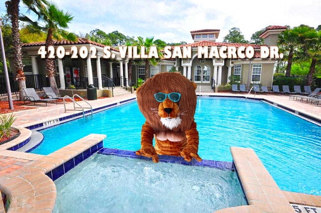 Primary Photo - Villa San Marco newly renovated one-bedroom!