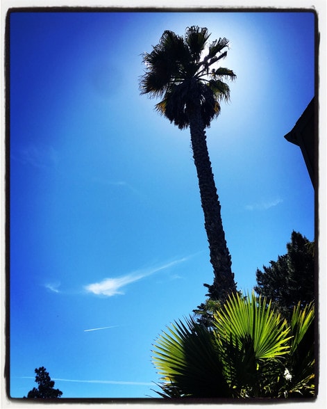 Pool - 5140 Diamond Heights Blvd