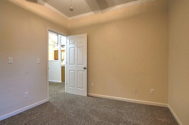 Building Photo - 244 Main Street Village Dr