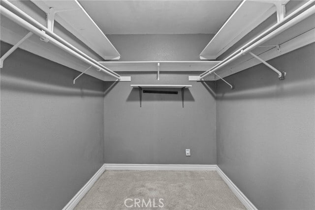Building Photo - 8557 Saddle Creek Dr