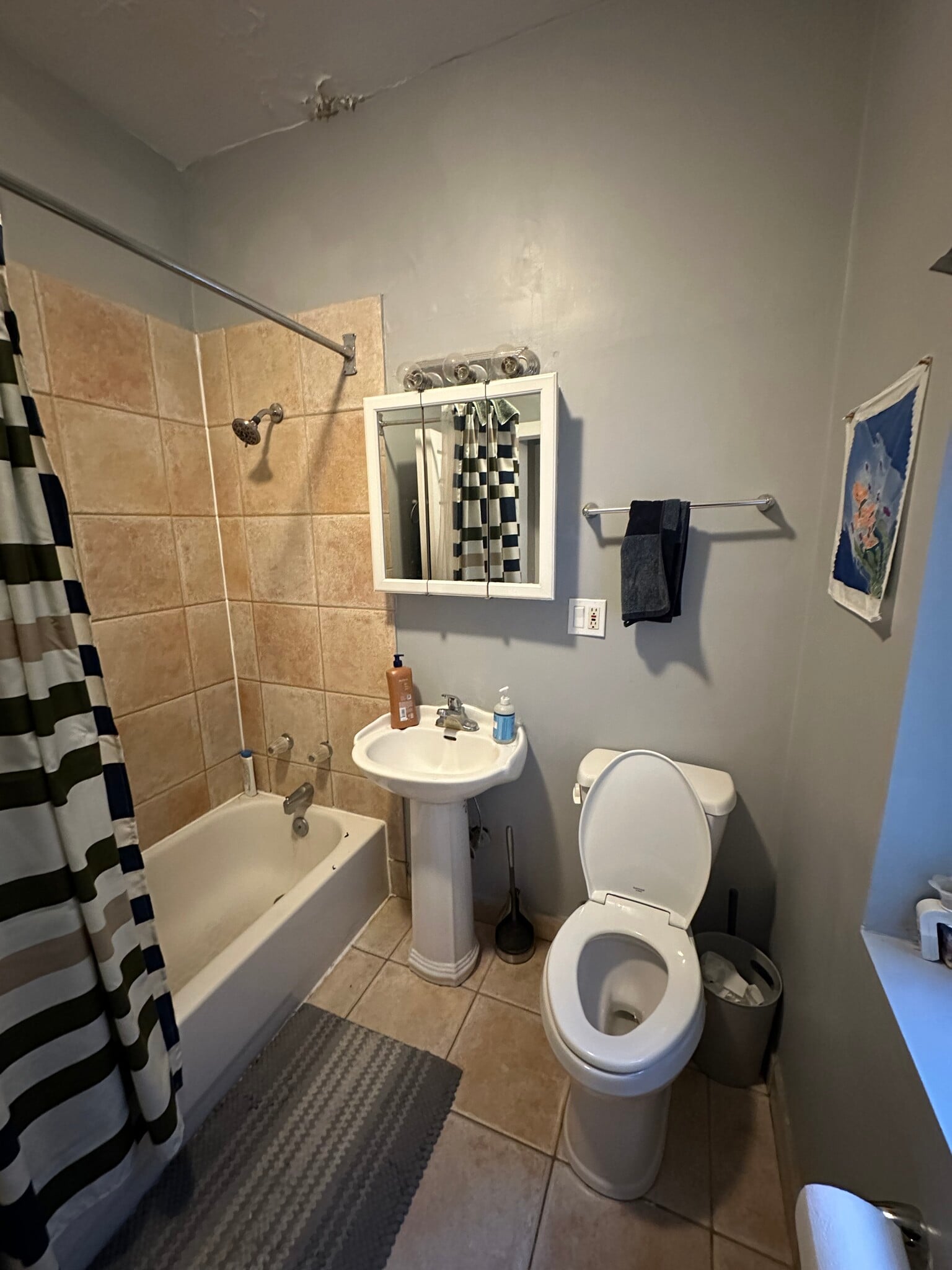 Bathroom - 6754 N Lakewood Ave
