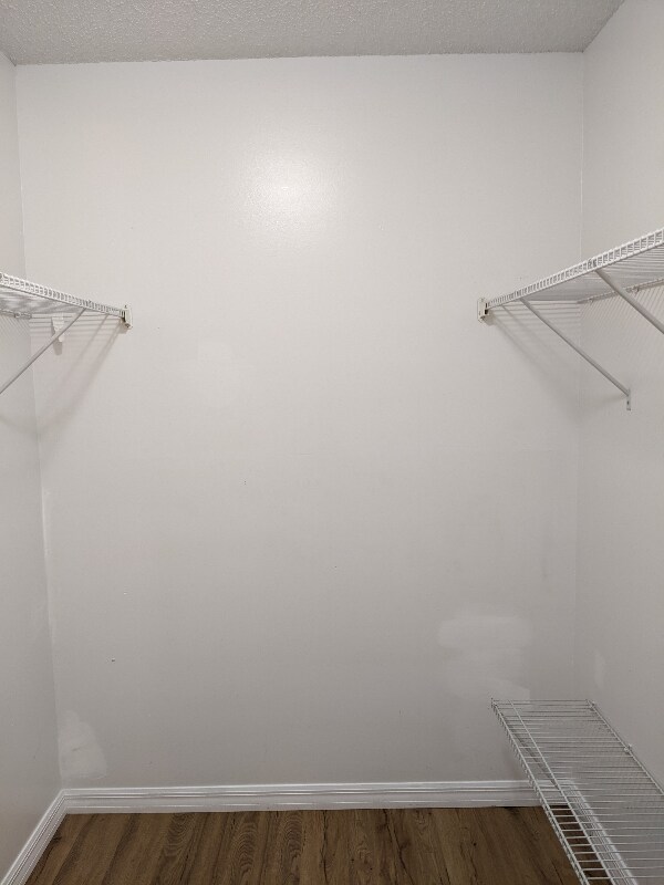 Building Photo - 4649 Ring Neck Rd