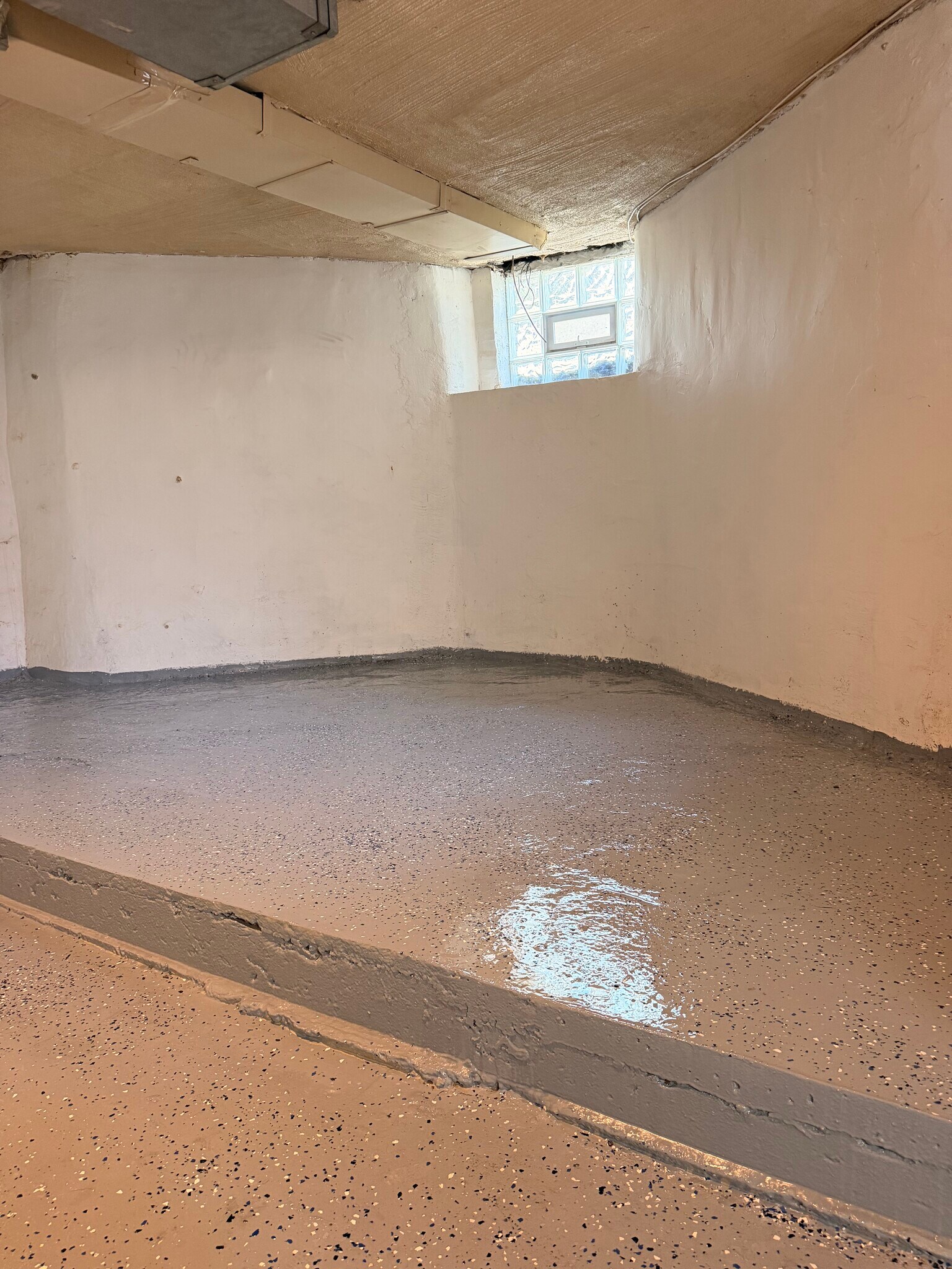 Basement freshly painted and clean - 5975 Alder St