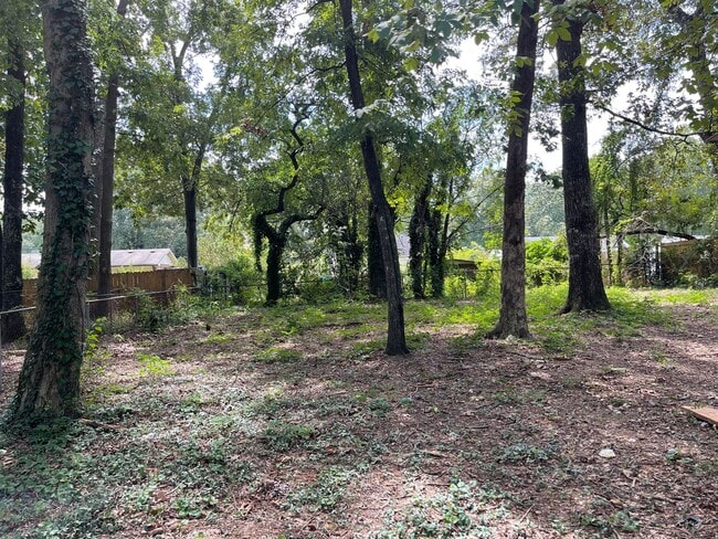 Building Photo - Adorable 2 Bed/1 Bath Bungalow in Forest P...