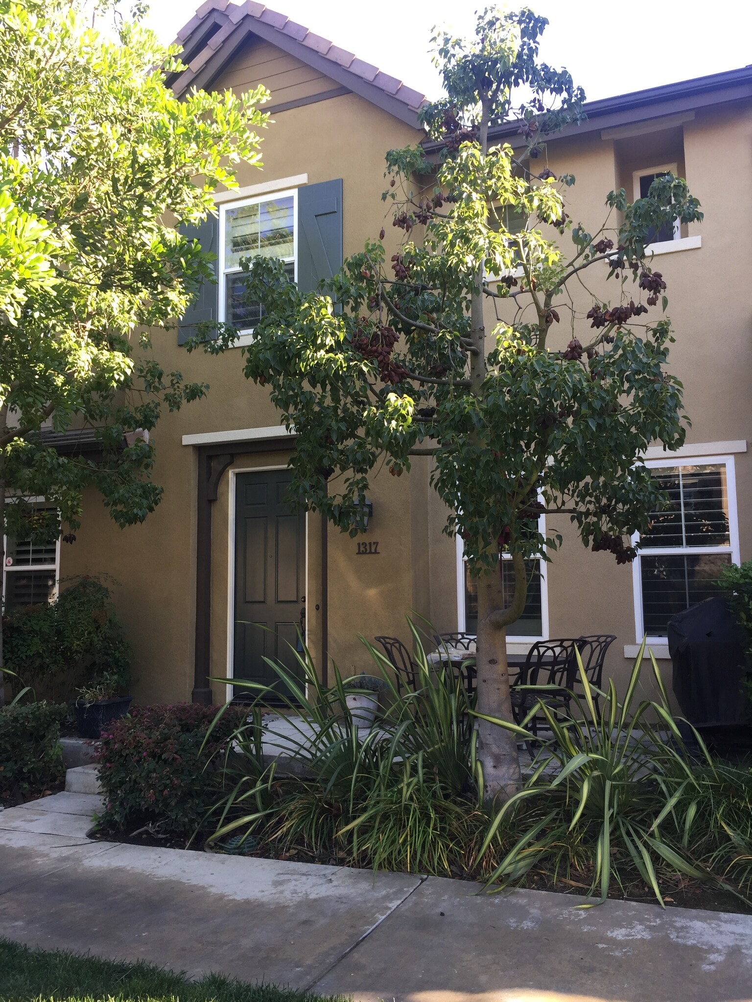 Building Photo - 1317 Corte Alemano