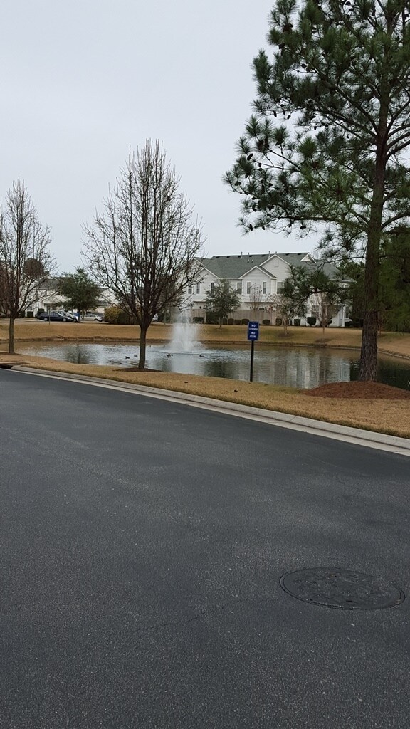Building Photo - The Villas at Bellamy