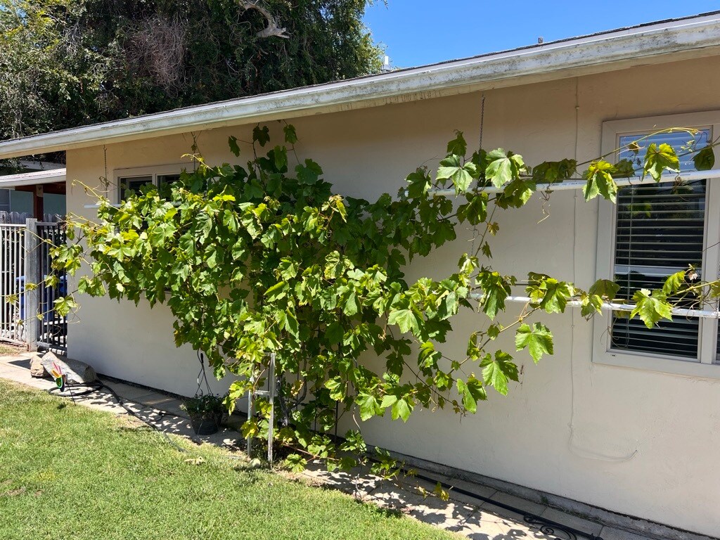 Building Photo - 2622 Sprig Pl