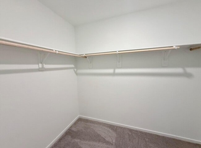 Building Photo - 932 Capracotta Dr
