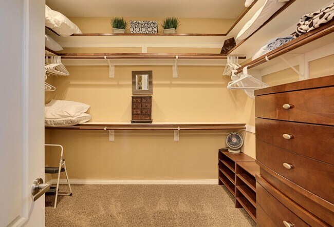 Building Photo - 31453 Calle Amigos