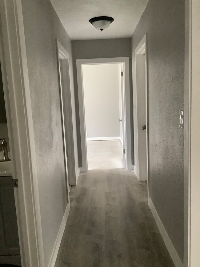 Building Photo - Completely Renovated 3 Bedroom Downstairs Unit! $2,995