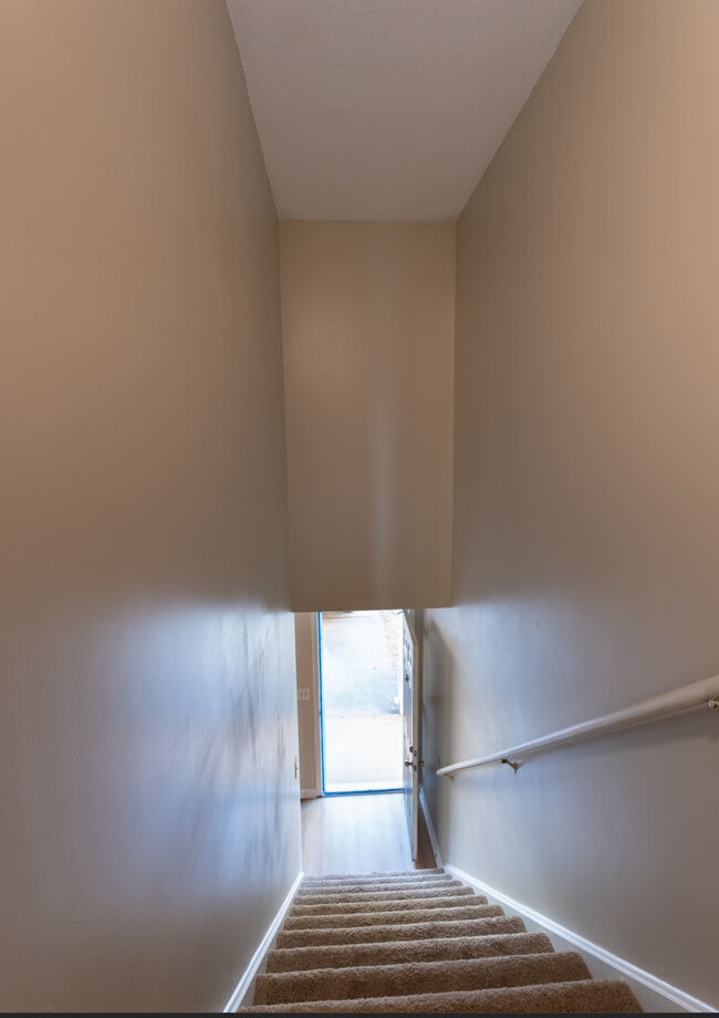 Building Photo - 225 Springfield Cir