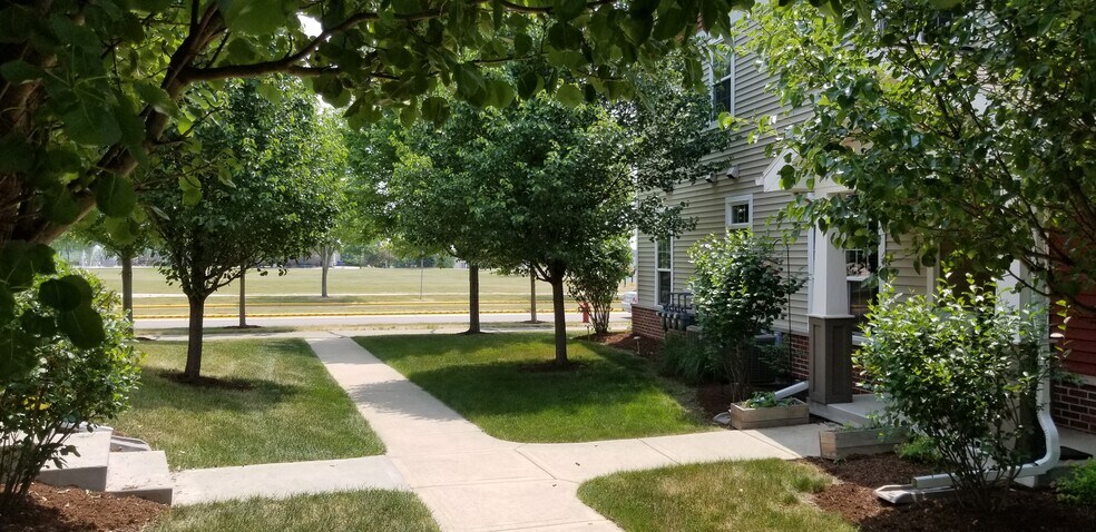 Green space - 4876 Innovation Dr