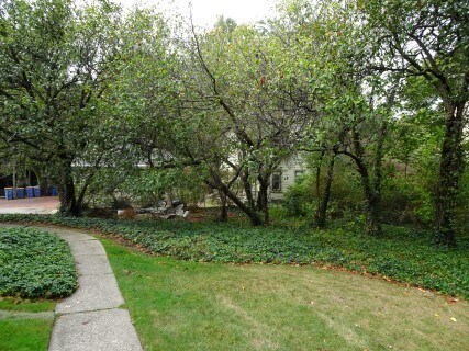 Building Photo - 45 College Ave SE