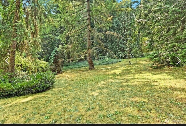 Building Photo - 4 Bedroom 3 Bath Spacious Home in Bellevue