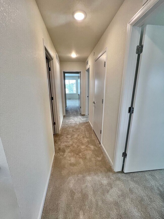 Building Photo - STUNNING 3 bed 2.5 bath new build home in Fort Collins!