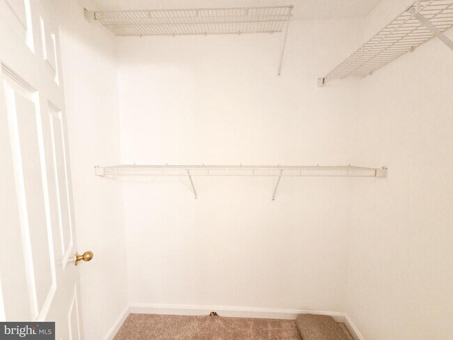 Building Photo - 10823 Hampton Mill Terrace