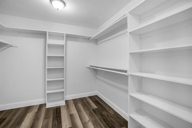 Building Photo - 5902 Fawn Valley Ln