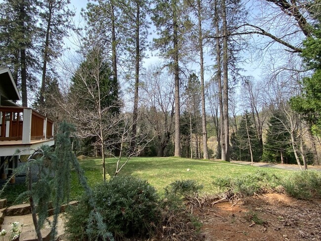 Building Photo - 12609 Oak Cir