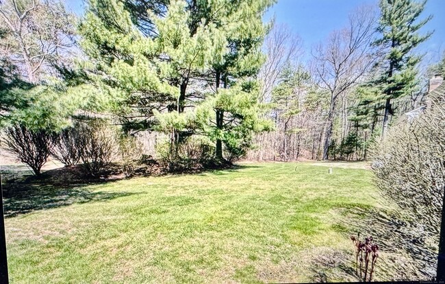 Building Photo - 136 Tunxis Village