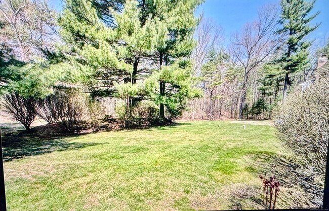 Building Photo - 136 Tunxis Vlg
