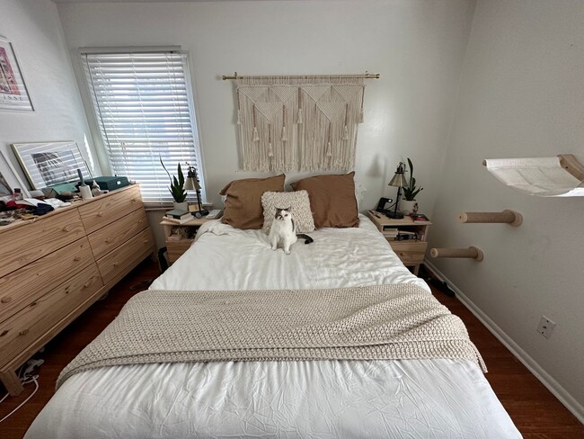 Building Photo - Wonderful House on the southeast benches in Provo