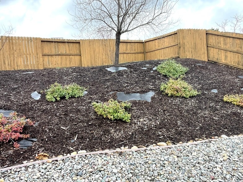 Side Yard - 358 Reddington Dr