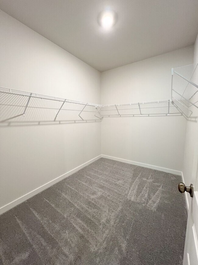 Building Photo - New Construction--Gorgeous and Move-In Ready!