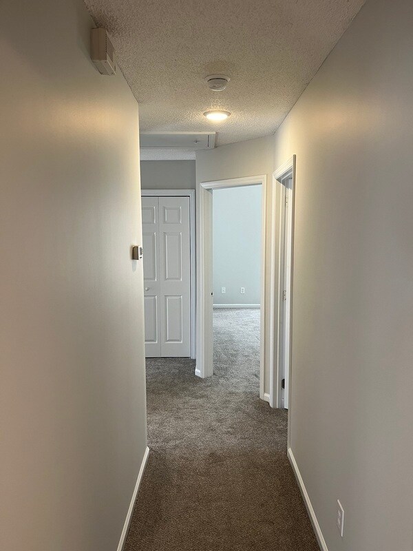 Building Photo - 11128 White Stag Dr