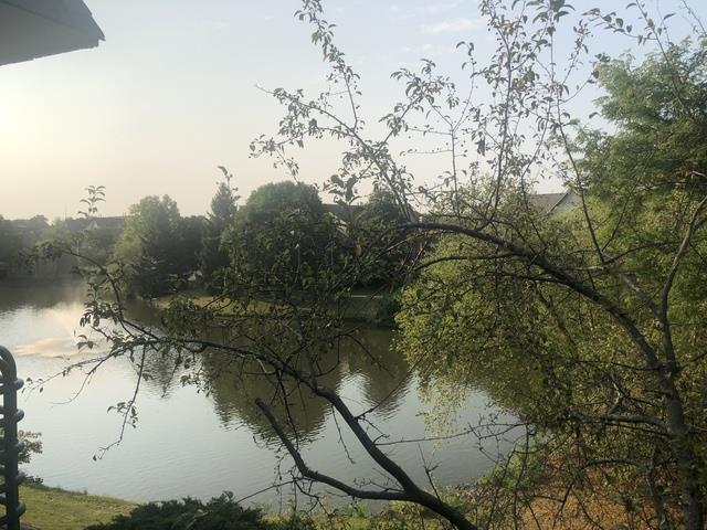 Building Photo - 905 Casey Ct