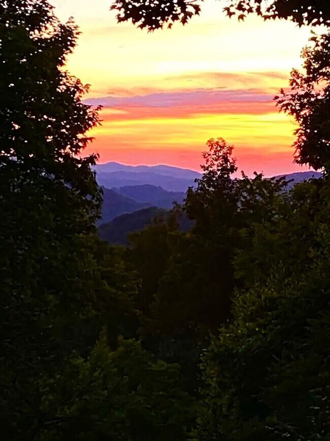 Building Photo - 390 Fall Creek Meadows Ln