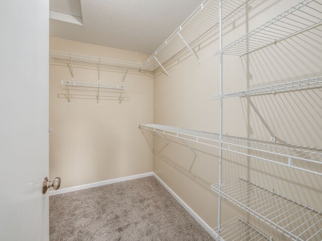 Building Photo - 7302 Claddaugh Ln