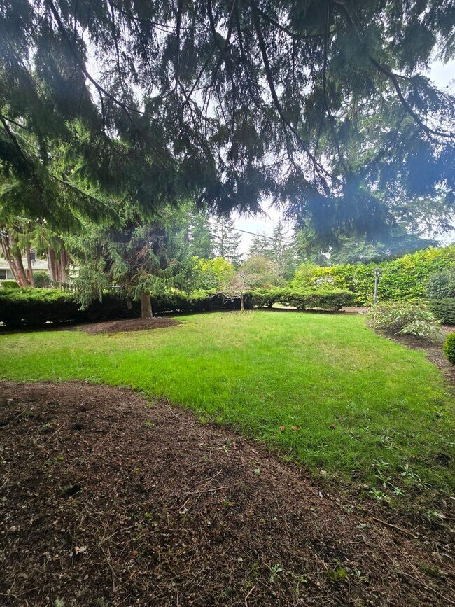 Building Photo - Beautiful 3 bedroom on large lot.