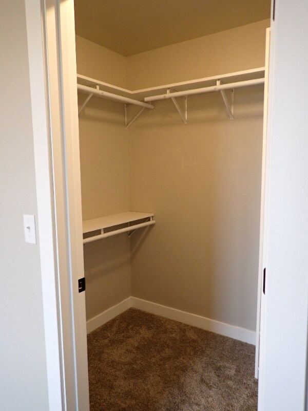 Building Photo - 1796-1798 Garroman Dr