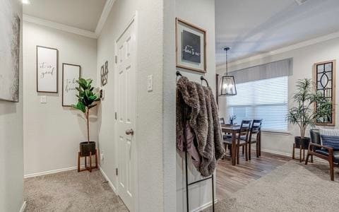Building Photo - 6806 San Miguel Way