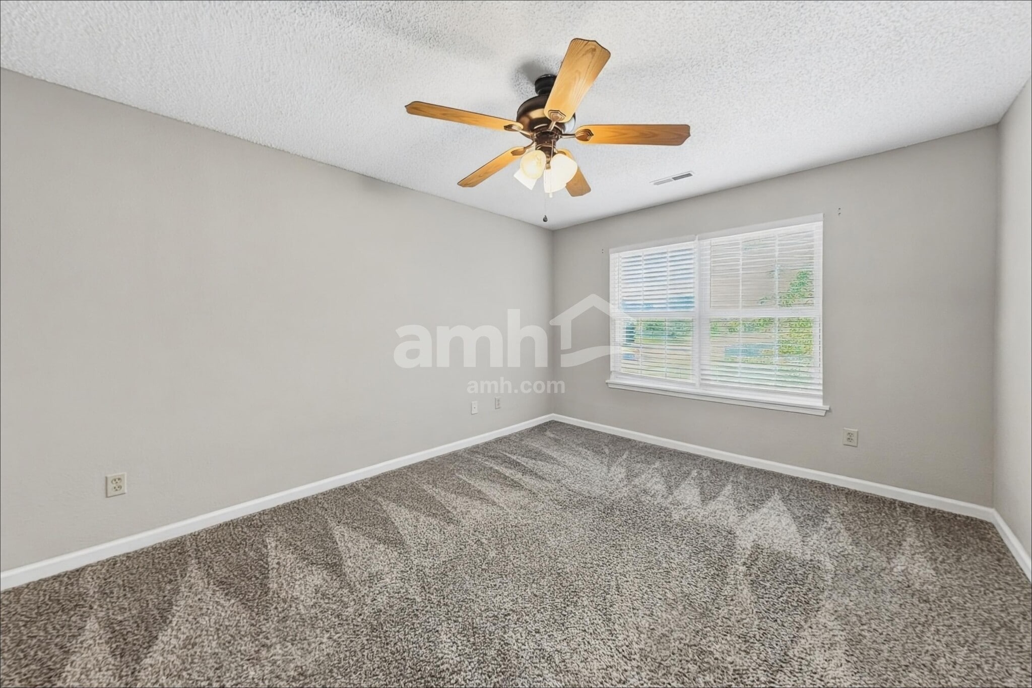 Building Photo - 4228 Dunedin Ct