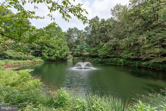 Building Photo - 3911 Ivy Terrace Ct NW