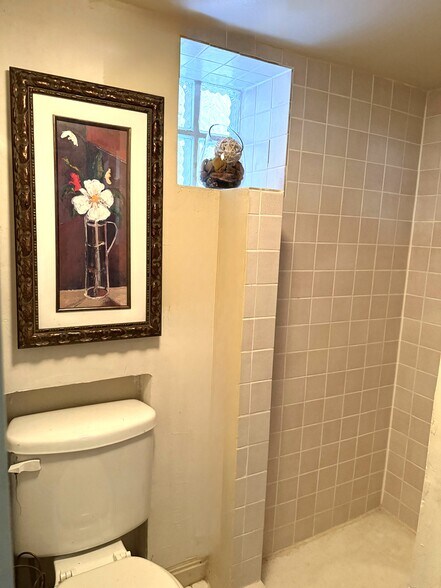 Bathroom-Lower Level - 4028 N Overhill Ave