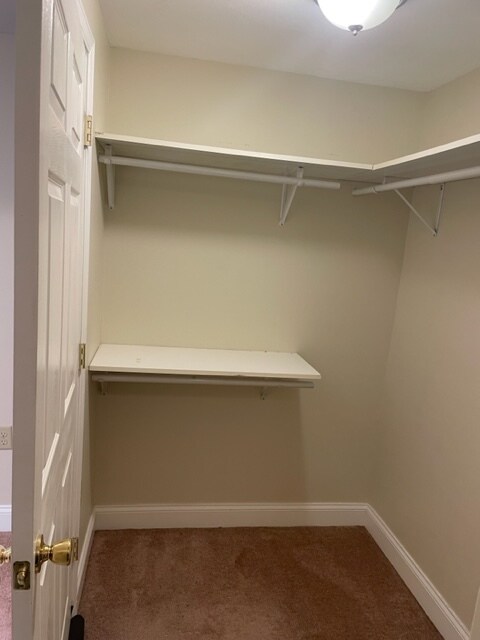 Master CLoset - 161 E 4th St
