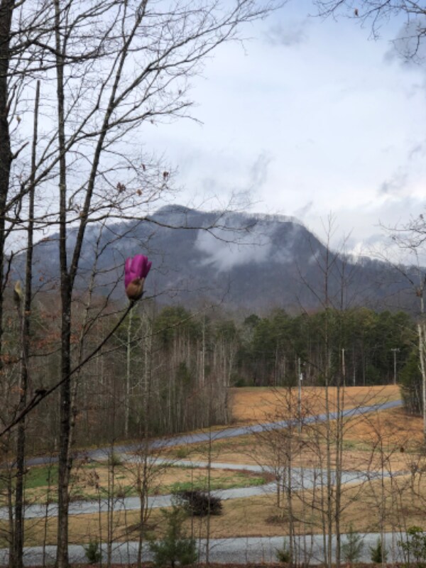 Building Photo - 107 Rockcrest Ridge