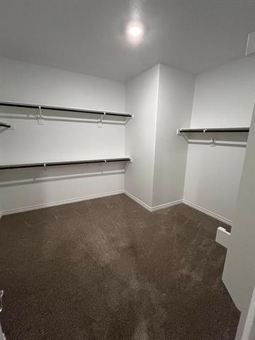 Building Photo - 10305 Rambling Brks Ln