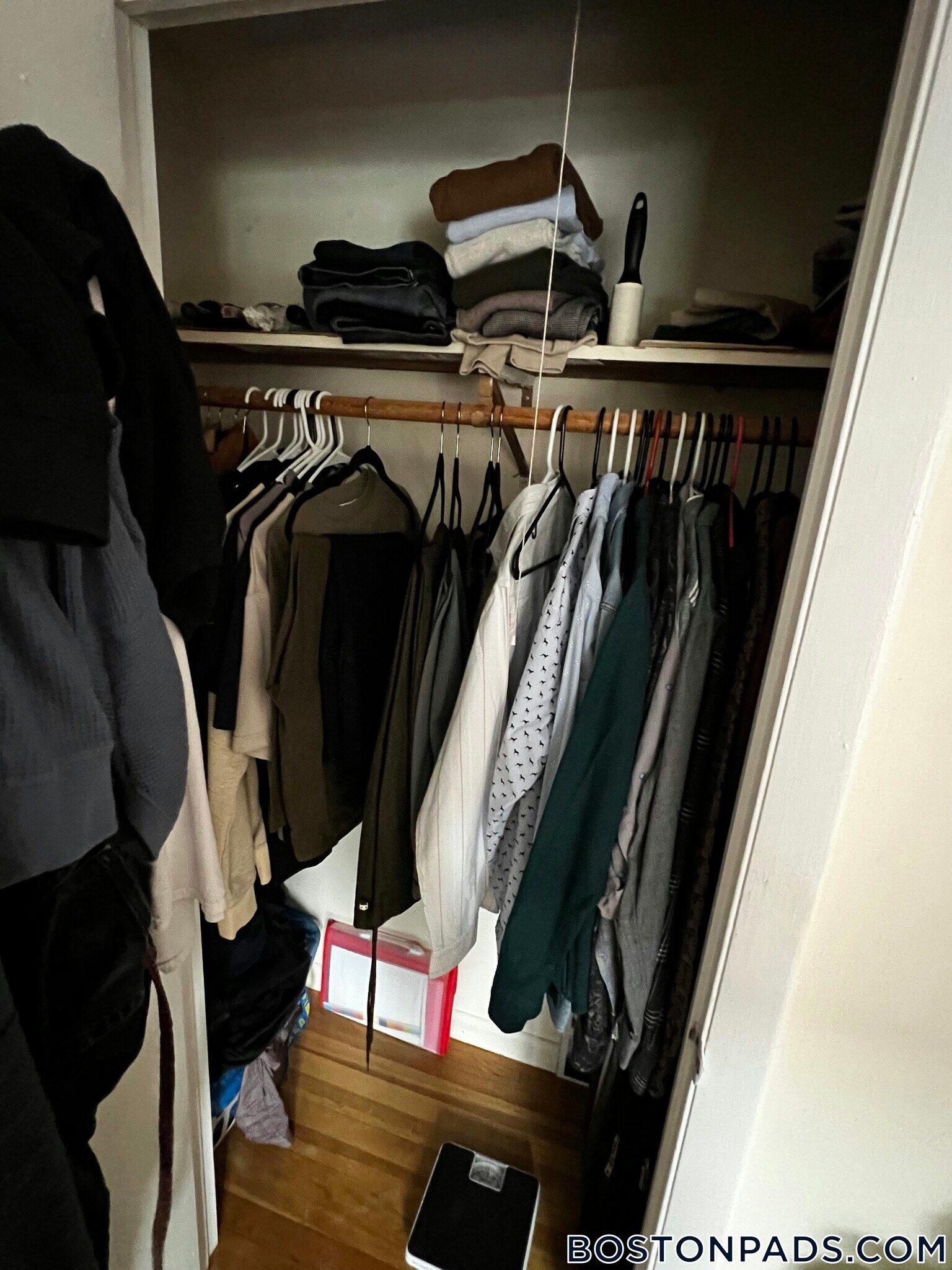 Building Photo - 66 Homer Ave