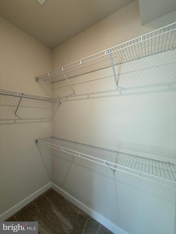 Building Photo - 4929 DUNHAVEN Dr