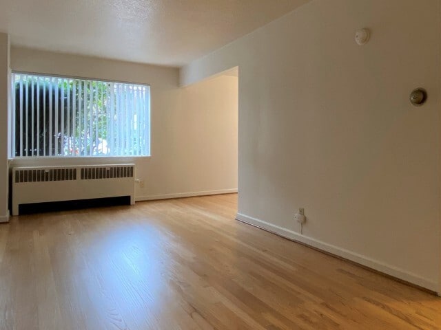 Studio Main Room - Elite Court Apartments