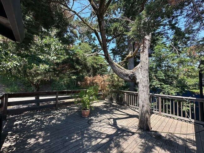 Primary Photo - Expansive House in the Monclair Village, Q...