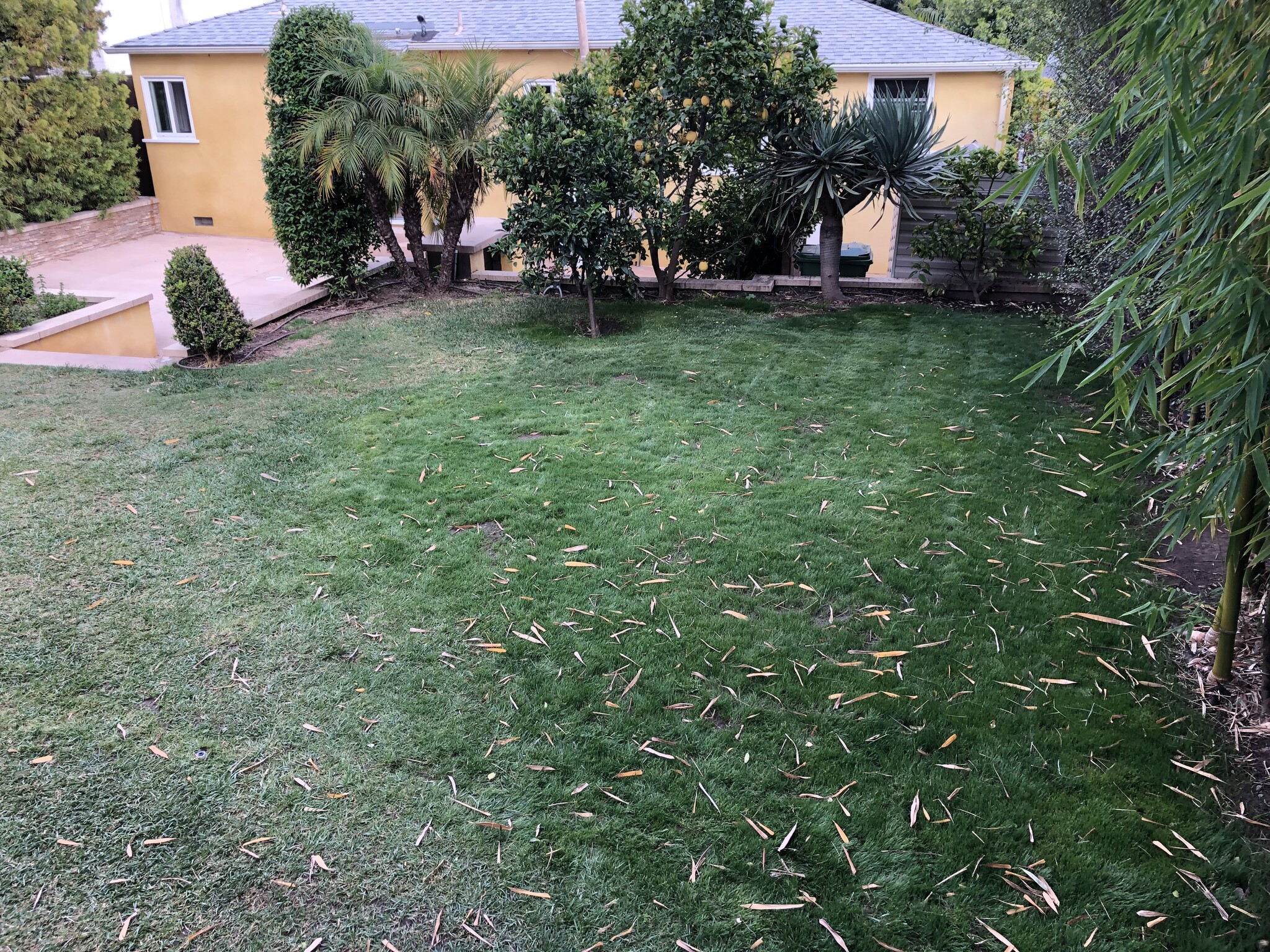 Private backyard - 12621 Woodgreen St