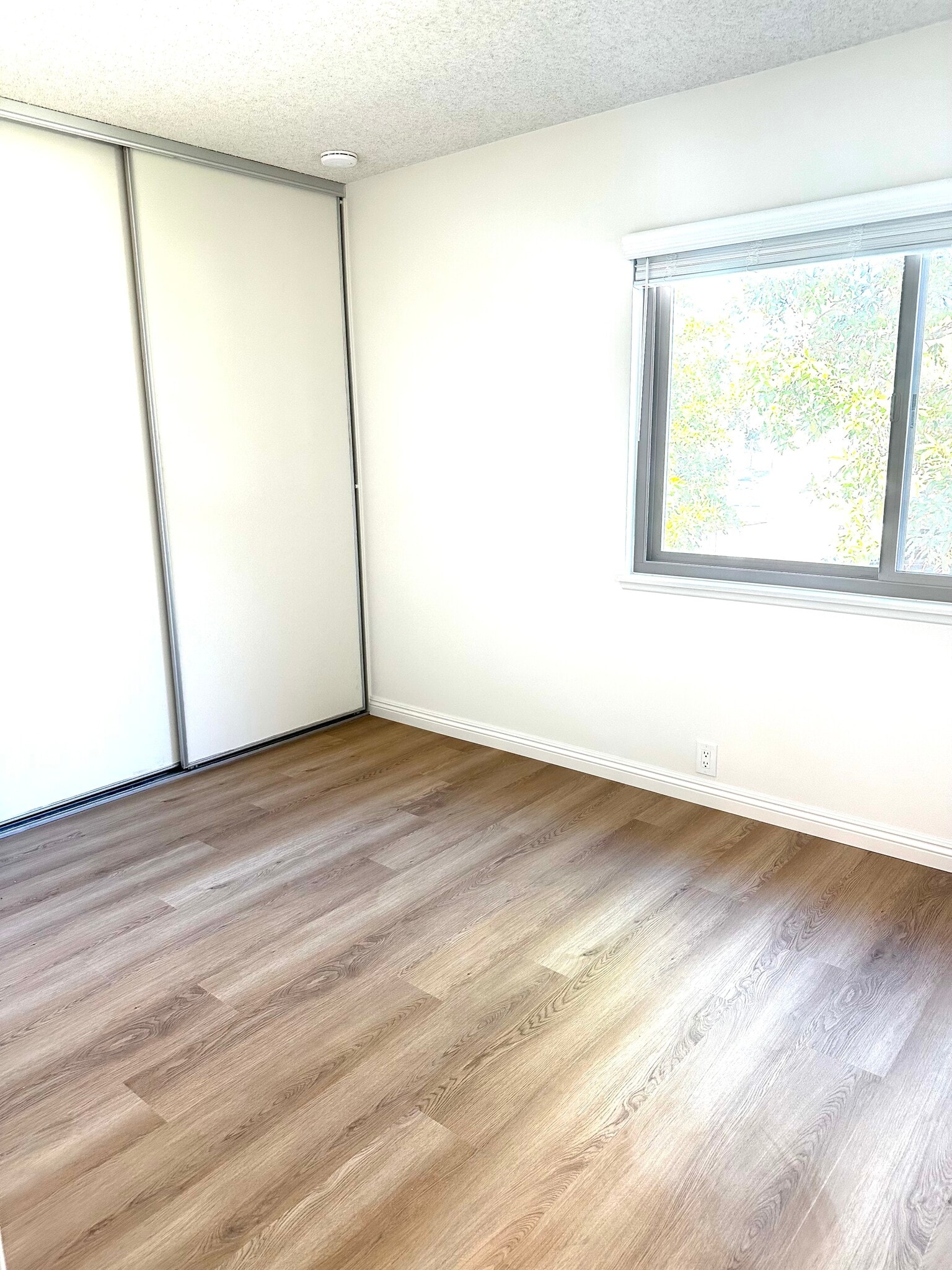 Building Photo - 2207 Moss Ct