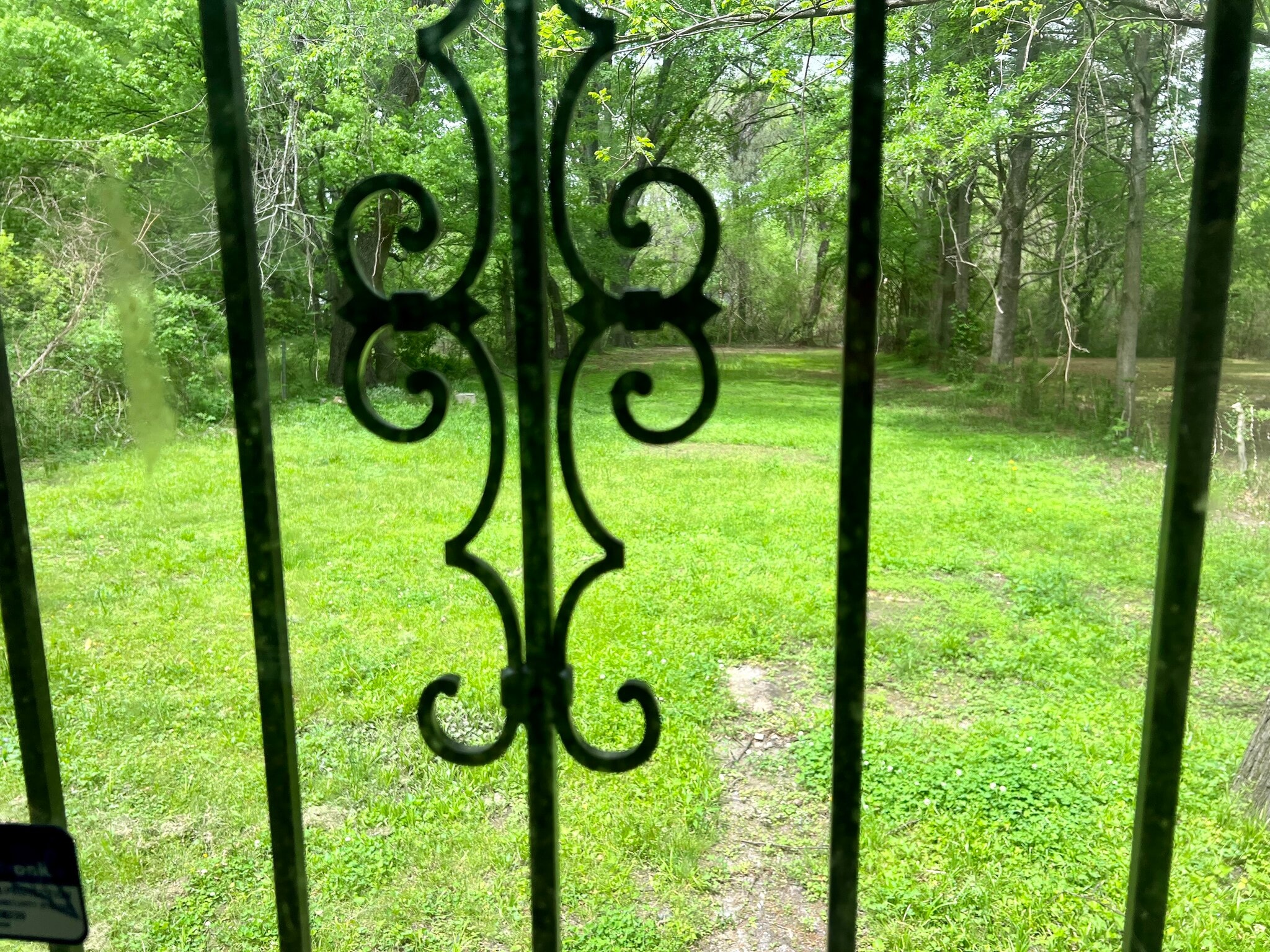 View through the back door - 3570 Allandale Ln